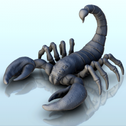 Scorpion (+ version pré-supportée) (13)
