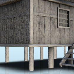 Cabin on stilts with access stairs (1)