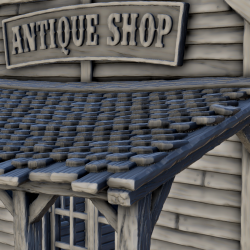 Boutique d'antiquités avec terrasse (12)
