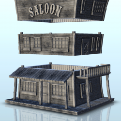 Saloon avec balcon et cheminée (5)