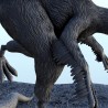 Epidexipteryx dinosaure (6)