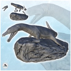 Nothosauridae dinosaur (10)