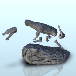 Nothosauridae dinosaure (10)