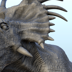 Styracosaurus dinosaur (12)
