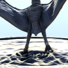 Pterodon dinosaure (16)