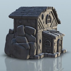 Medieval house 11