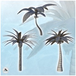 Set of 3 tropical palm and...