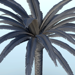 Set of 3 tropical palm and coconut trees (3)