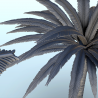 Set of 3 tropical palm and coconut trees (3)