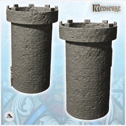 Grande tour de guet médiévale en pierre ronde avec porte en bois (9)