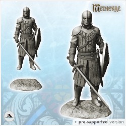 Medieval warrior in armor with shield, sword and helmet (33)