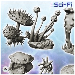 Set of alien plants with flowers (3)
