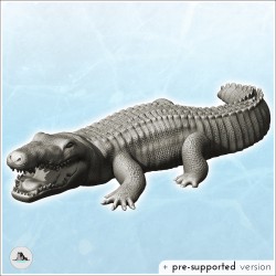 Alligator avec gueule ouverte (5)