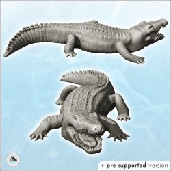 Alligator avec gueule ouverte (5)
