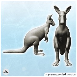 Kangaroos (15)