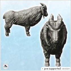 Four-horned ram (18)