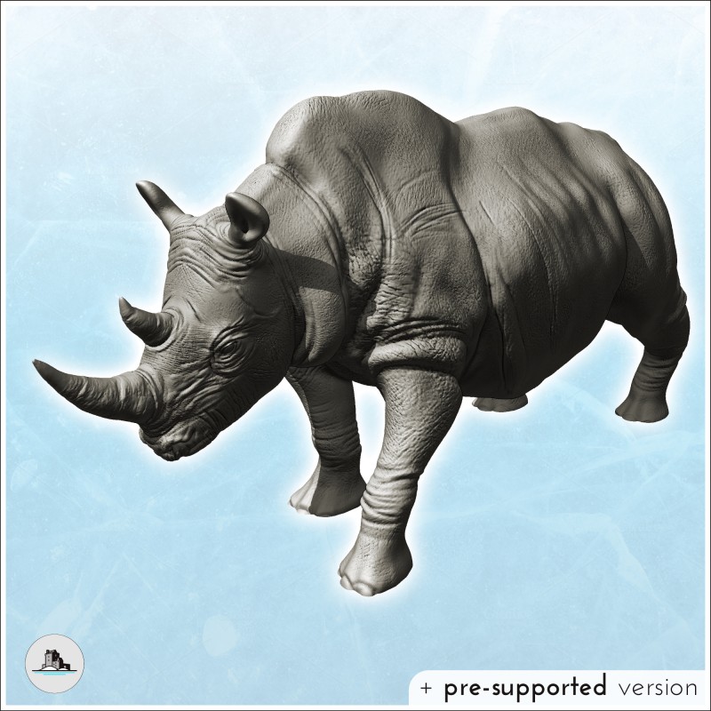 African rhinoceros with horn (19)