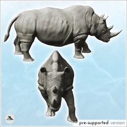 Rhinocéros d'Afrique avec corne (19)