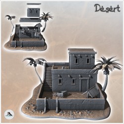 Maison désertique avec palmiers et escalier d'accès au toit (6)