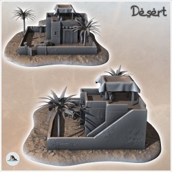 Maison désertique avec palmier et murets d'enceinte (7)