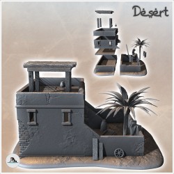 Maison désertique avec abri en bois sur toit et palmiers (8)