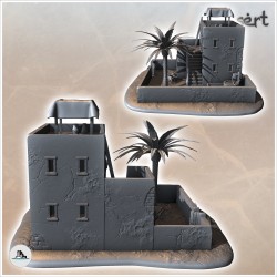 Desert house with flat double roofs and palm tree (10)