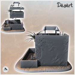 Maison désertique avec double toits plats et palmier (10)