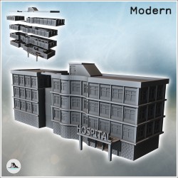 Modern Flat Roof Hospital...
