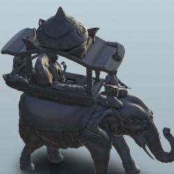 Elephant with howdah