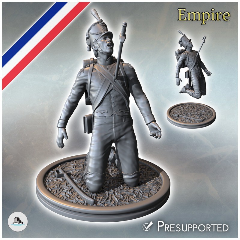 French napoleonic wounded 7