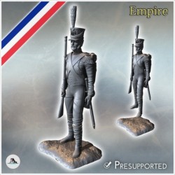 French Napoleonic infantry...