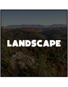 Paysage