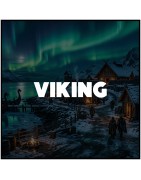 Viking & Scandinavie
